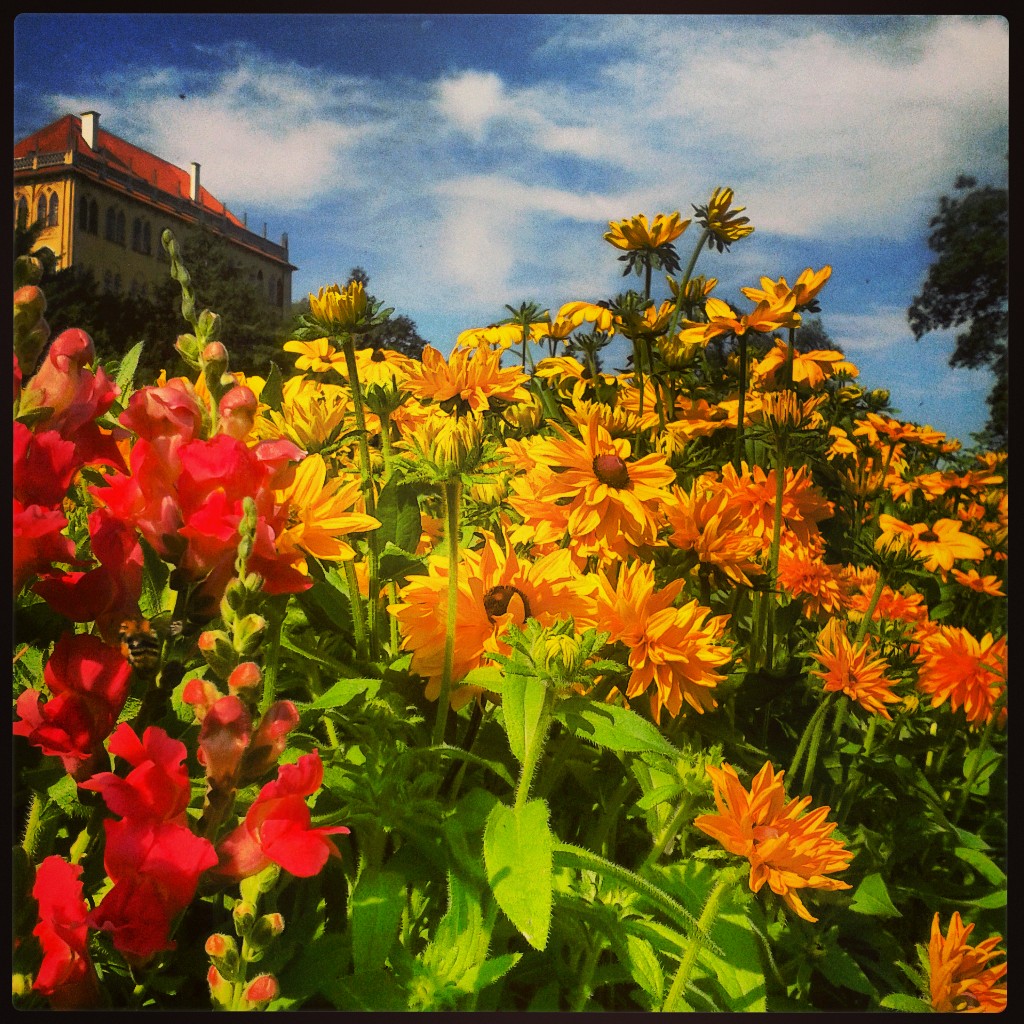 Czech Republic Archives Urban Adventures