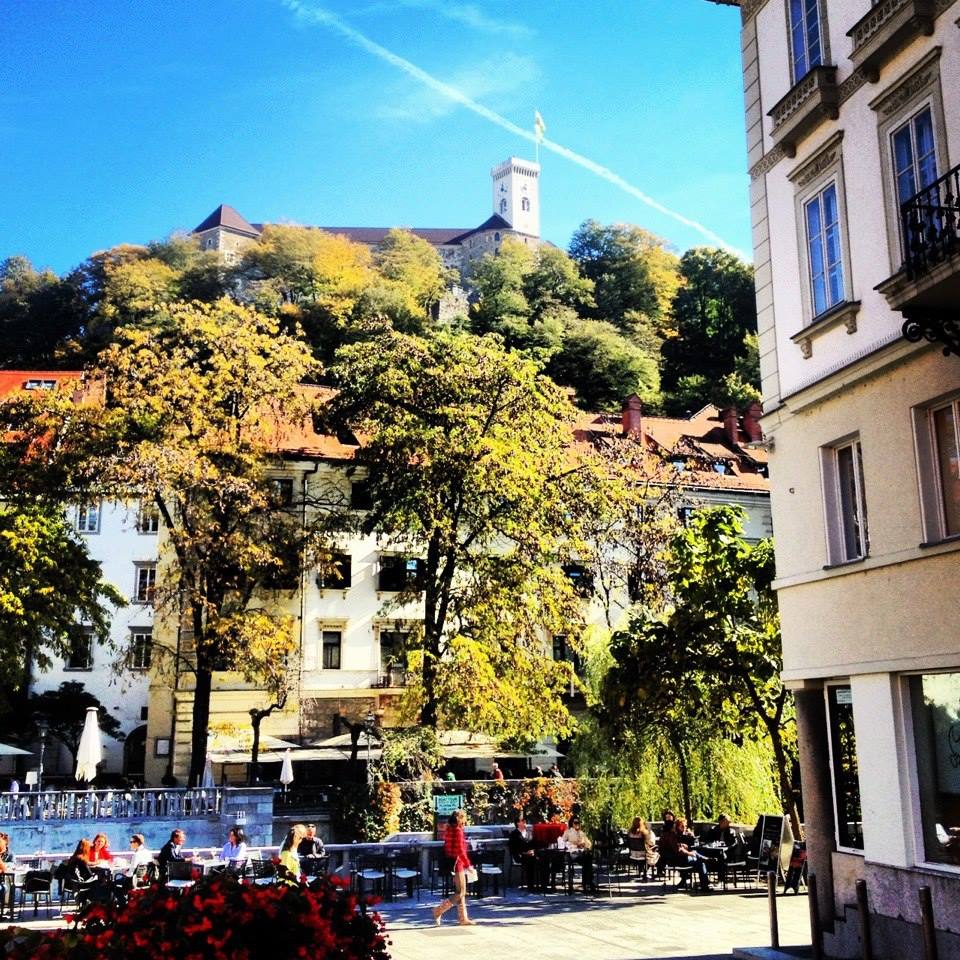 view looking up at castle in ljubljana