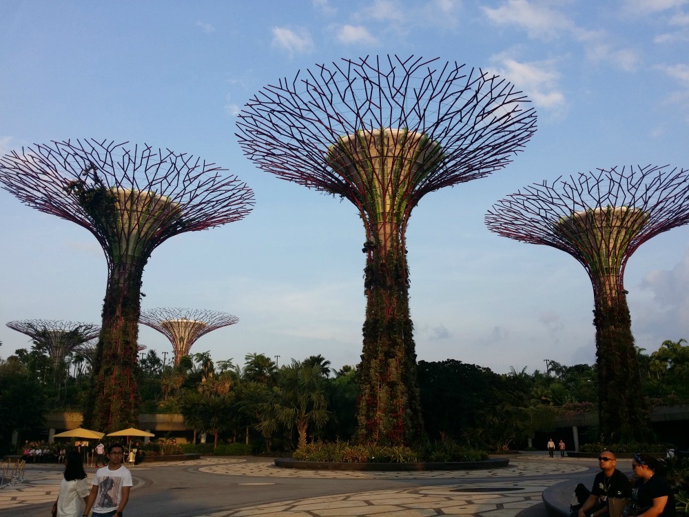 Futuristic-looking trees in the Gardens by the Bay in Singapore