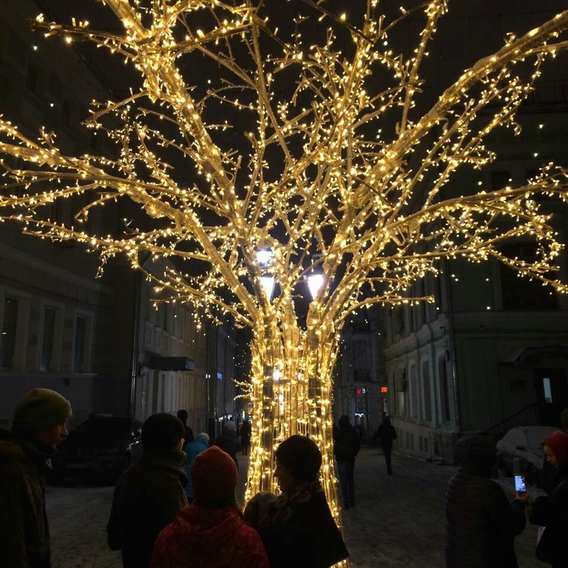 tree decorated with lights at Christmas in Moscow