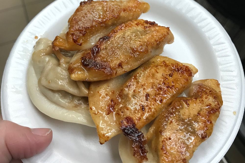 paper plate with fried and boiled dumplings